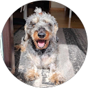 Justyna K profile picture